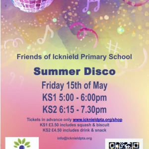Disco Ticket
